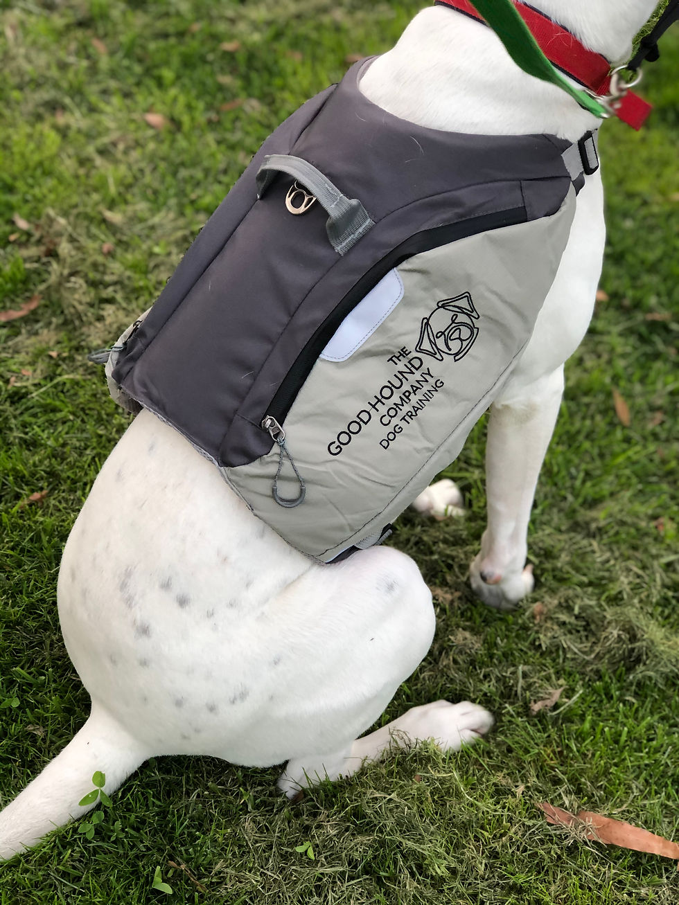 Thumbnail: Training Weight Vest