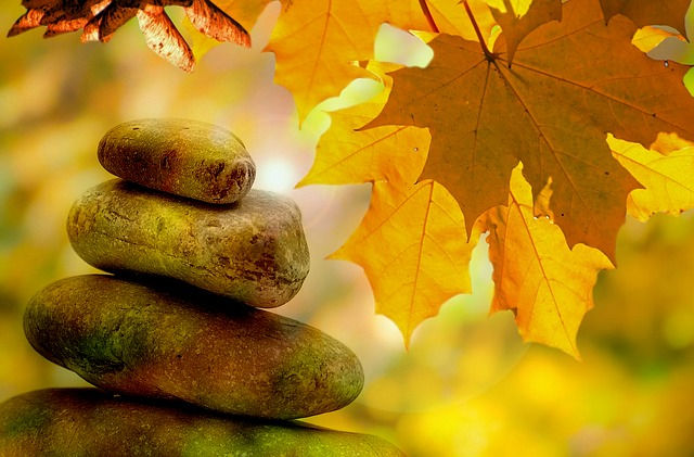 Harvest Meditation