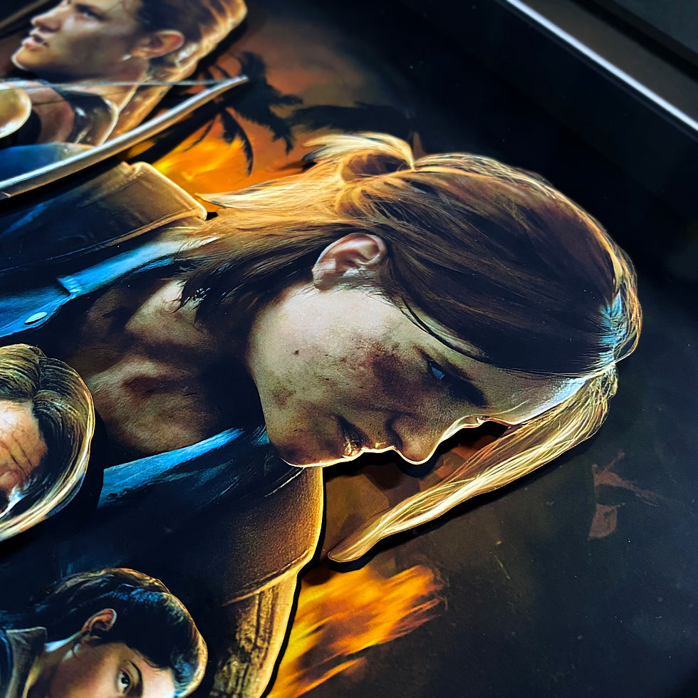 Miniatura: 3DBox TLOU2-V 45x33 c/LED
