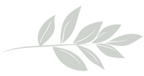 Leaf graphic element V2 option-01.png