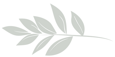 Leaf graphic element V2 option LEFT FACING-01.png