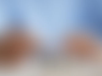 Before You File: Final Opportunities to Cut Your 2025 Taxes