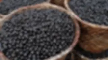 amazon-acai.webp