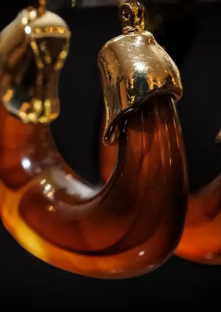 Glänzende Oberfläche der braunen Harz-Creolen mit organischer Goldfassung vor dunklem Hintergrund.