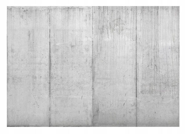 Photo wallpaper large 416 x 254cm with glue grey cement industrial