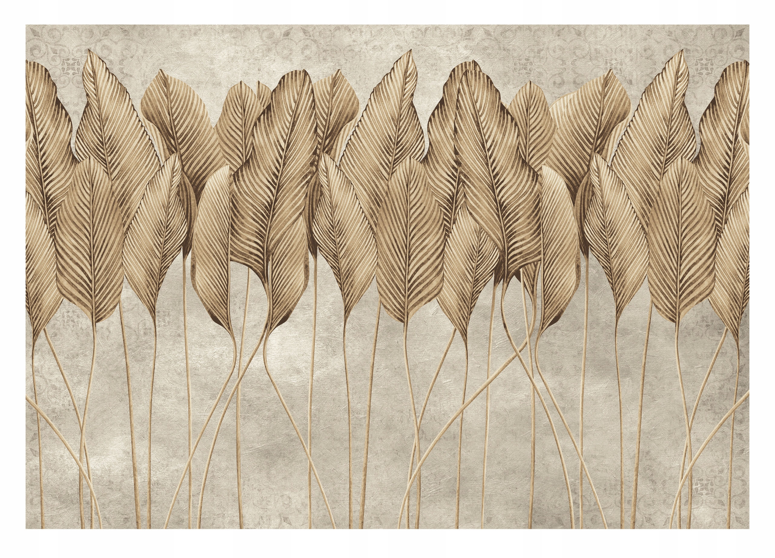 Photo wallpaper large 416 x 254cm with glue pampas beige grey