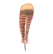 Plume