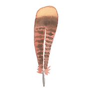 plume 3