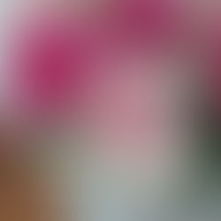 What triggers your stress?