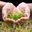 Writer: Green Life Now