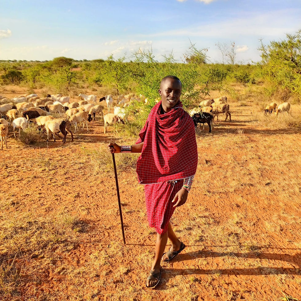 Growing Up Maasai in a Changing Climate: A Journey Through Tradition, Loss, and Resilience