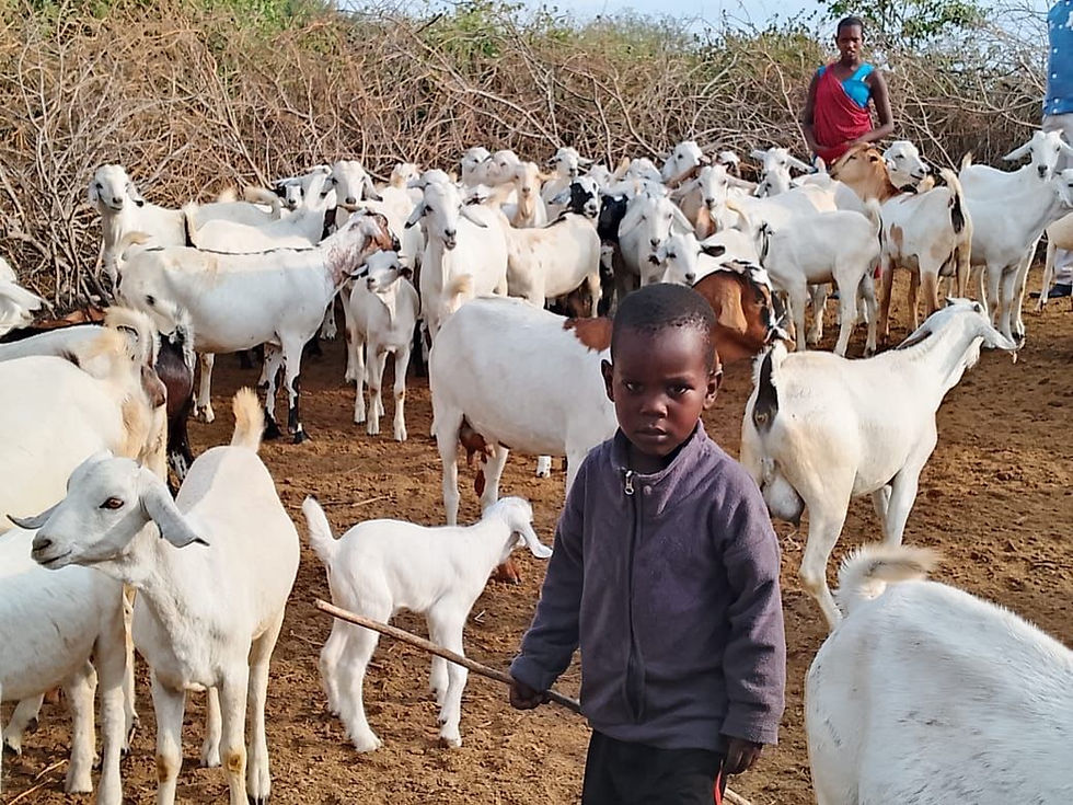 When the Earth Spoke Our Name: Maasai Knowledge and the Care of Nature