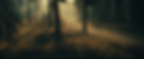 honda_pilot-trail-sport_2540419.gif