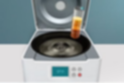 prp therapy