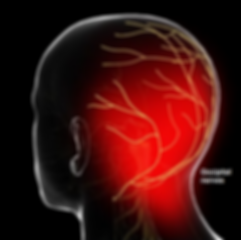 occipital nerves