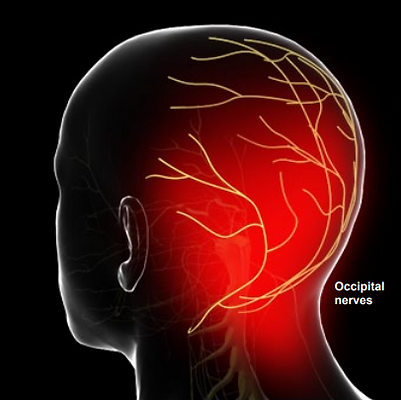 occipital nerves
