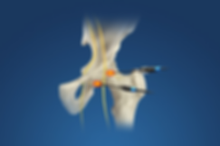 joint radiofrequency neurotoy