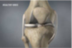 healthy knee