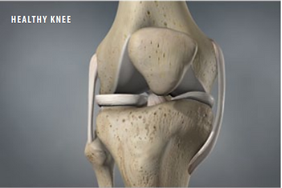 healthy knee