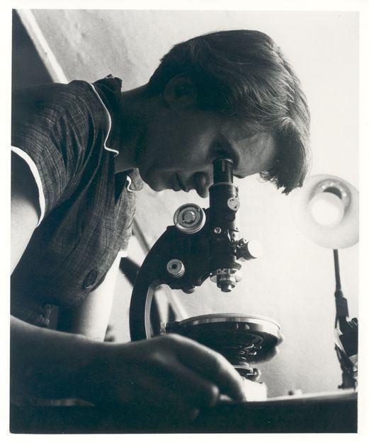 Significant Female Scientists who were written out of history