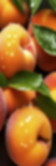 PEACH PRODUCTS.png