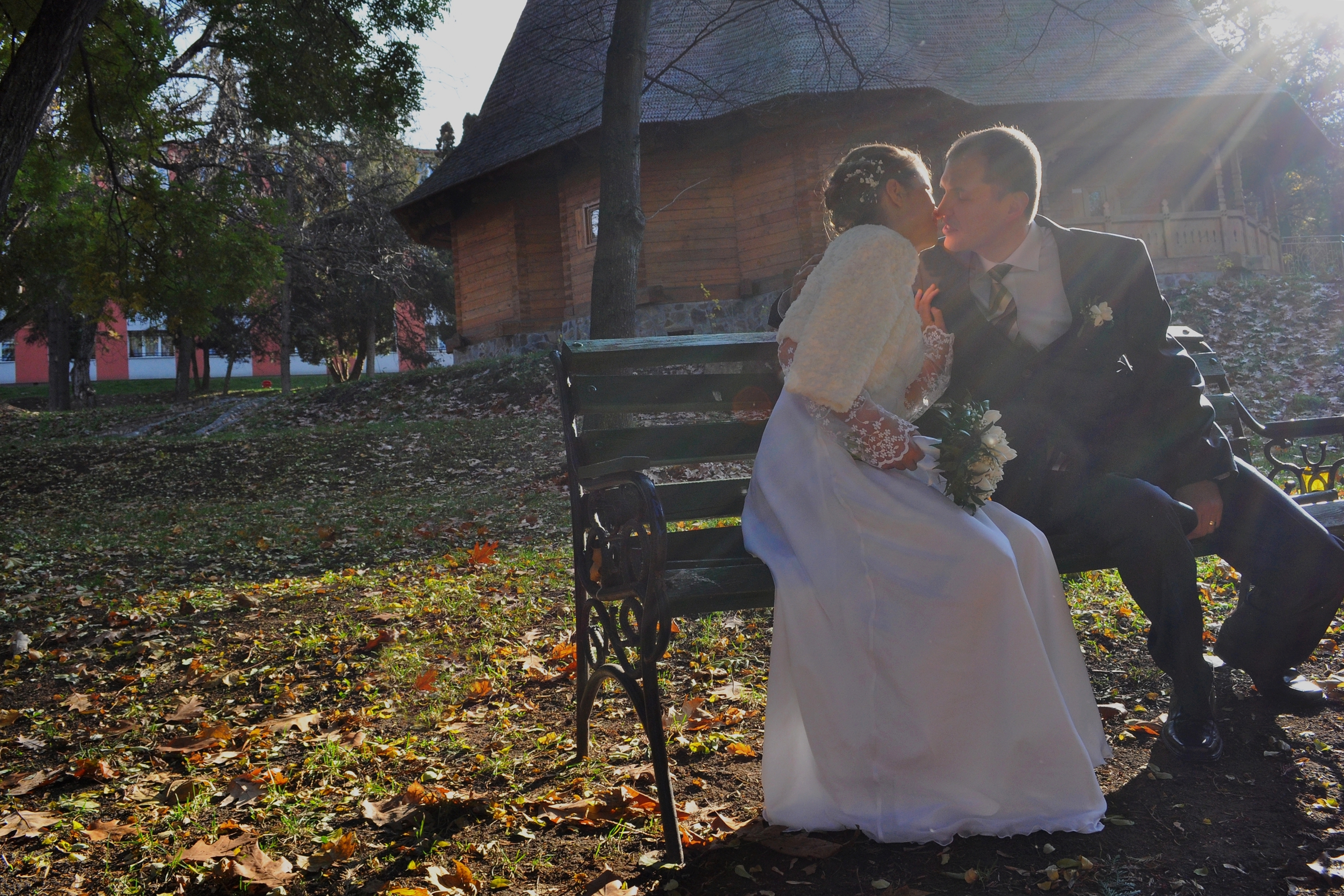 Mircea și Elena