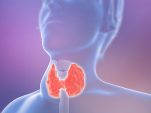 Discovering the Differences between Hyperthyroidism and Hypothyroidism: Understanding your Hormones