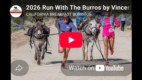 Video of the 2026 Run With The Burros pack burro race