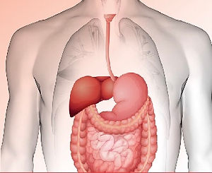 79C70869-3BD3-45B5-818E-DD34EF070706.jpe