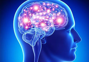 67AE8ADA-805F-433D-838B-35FBD14B2BDF.jpe