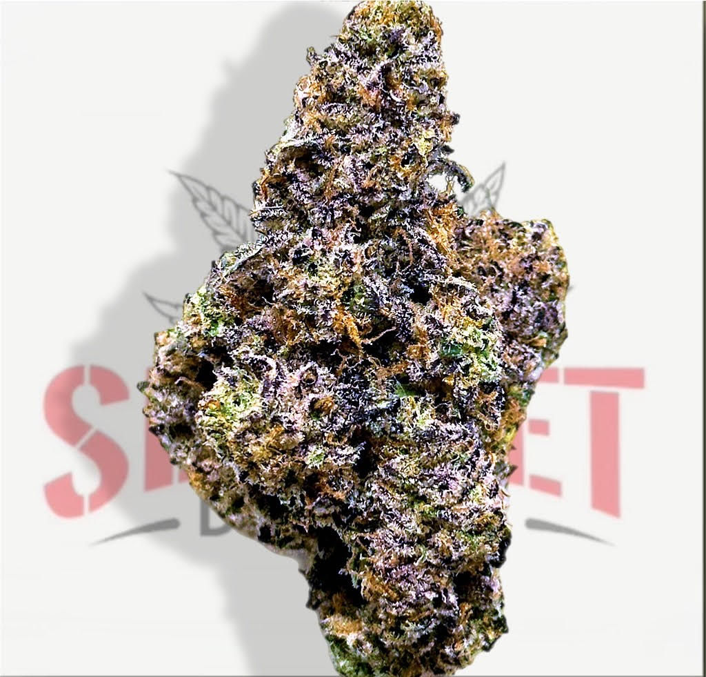 GELATO RUNTZ (34.74%) - TIER 2 (H)