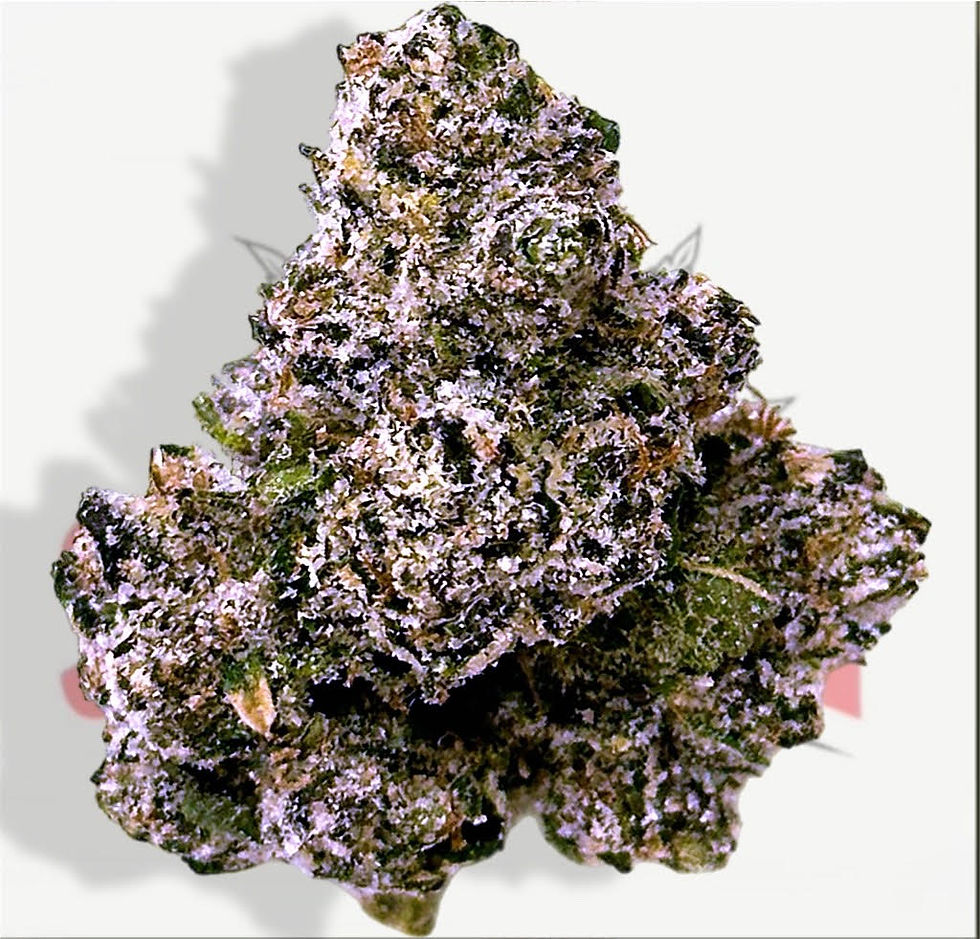 WILD CHERRY (34.94%) - TIER 2 (H)