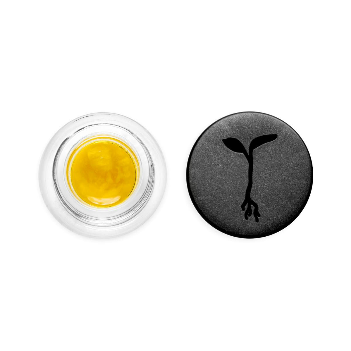 RAW GARDEN - LIVE SAUCE - TOGKB (I)