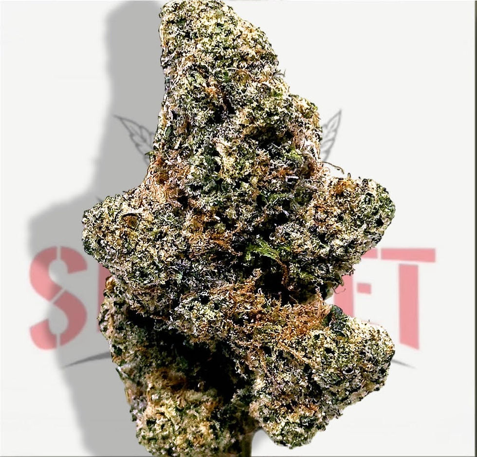 10 GRAMS - BLACK LOTUS (32.97%) - TIER 2 (H)