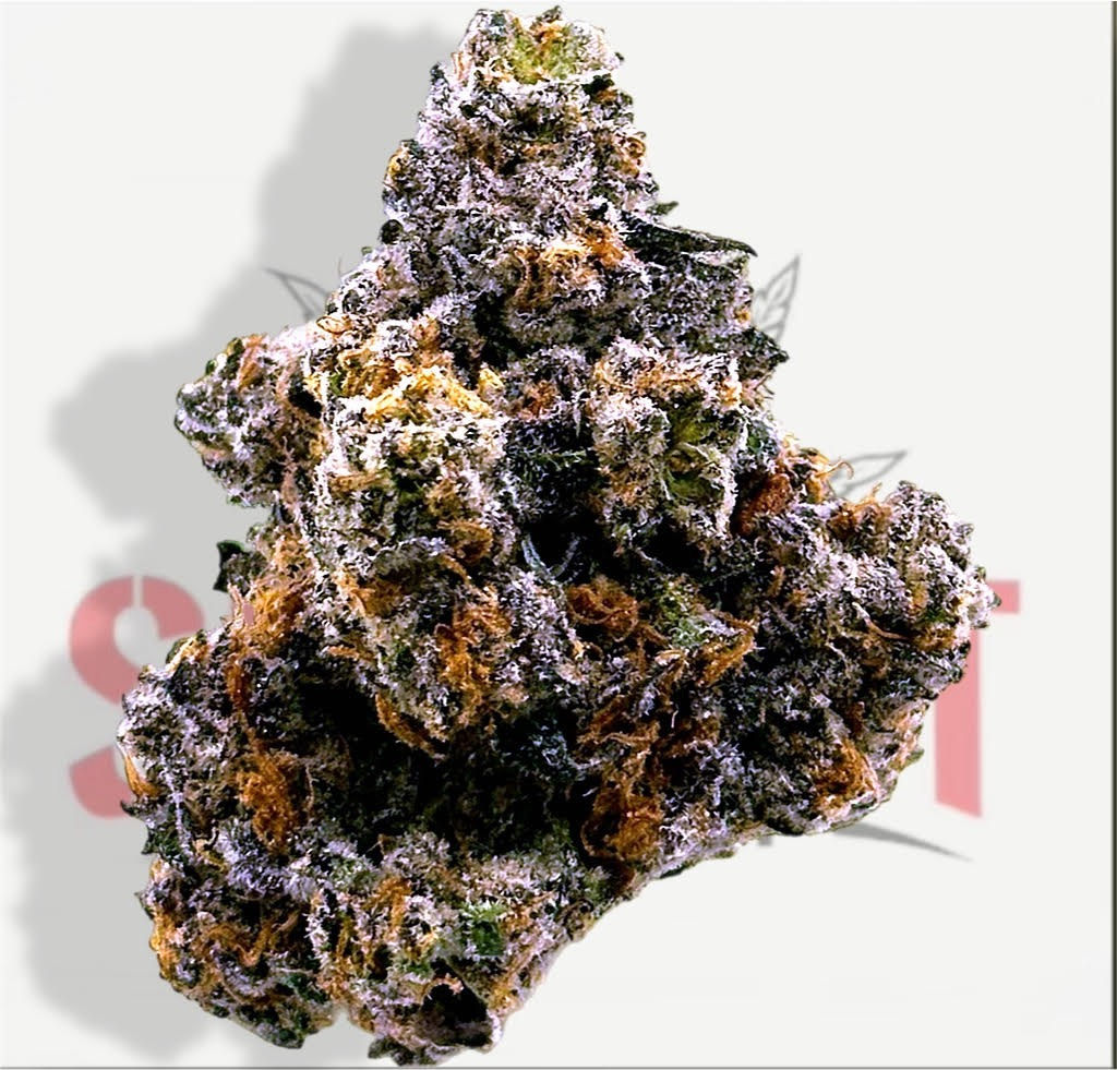 PURPLE PUNCH (34.77%) - TIER 2 (H)
