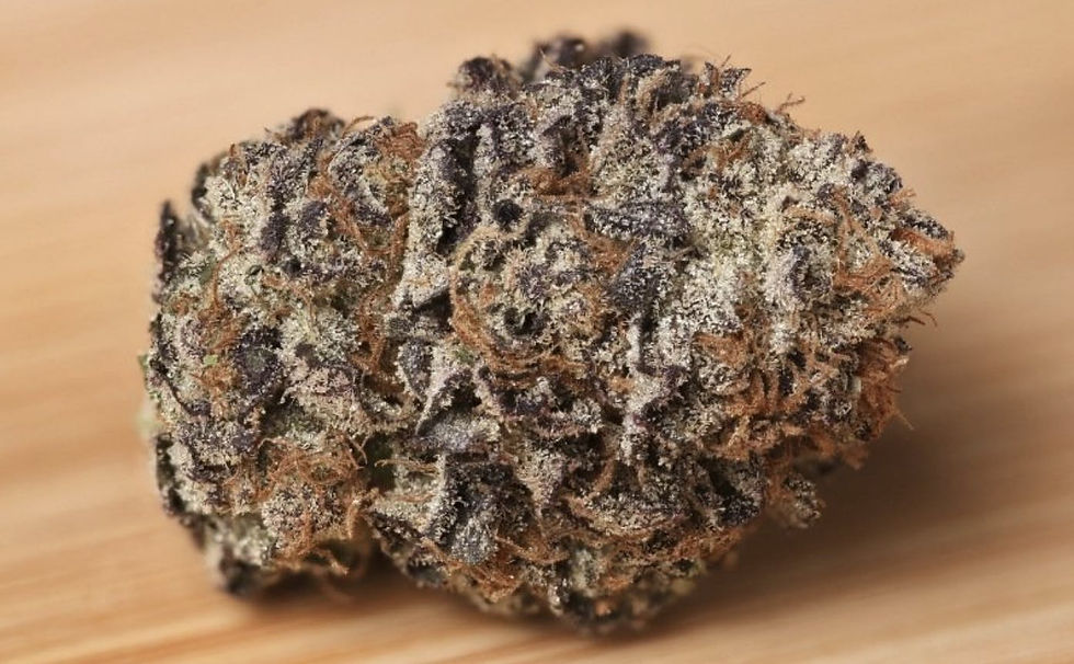 ANIMAL - 28G - CHERRY MELON (32.8%) (I)