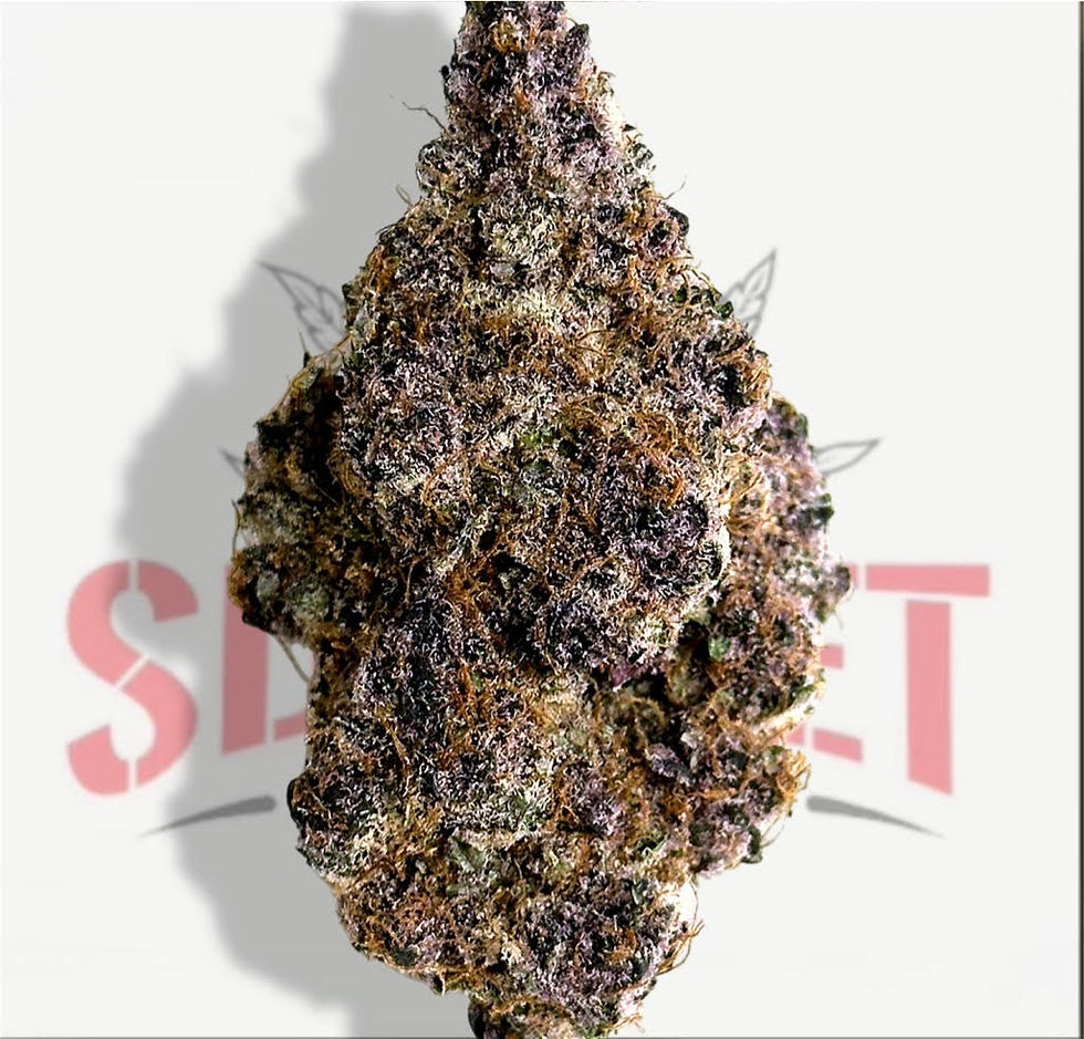 10 GRAMS - CAMBODIAN HAZE (32.99%) - TIER 2 (S)