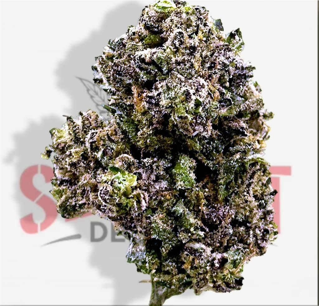 ROCKET POP (32.45%) - TIER 3 (H)