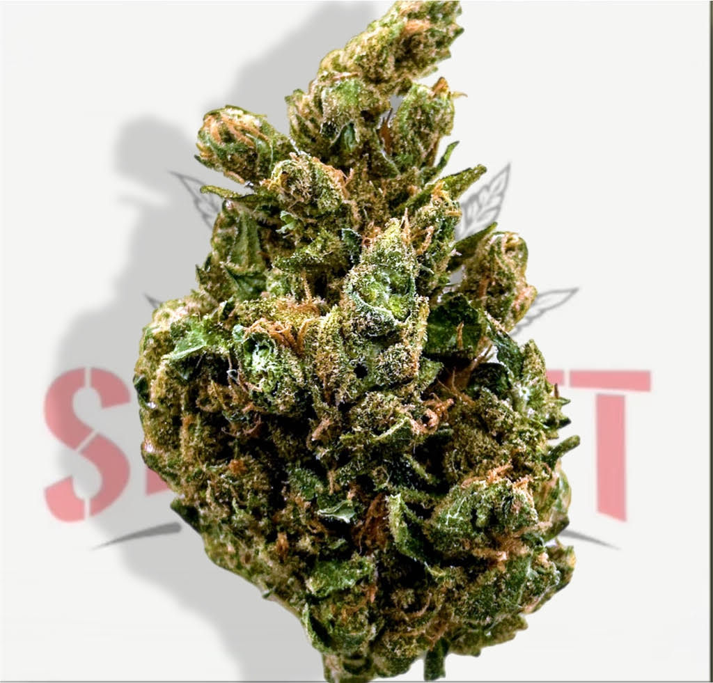 OZ SPECIAL - SATIVA - BAY DREAM (29.74%)