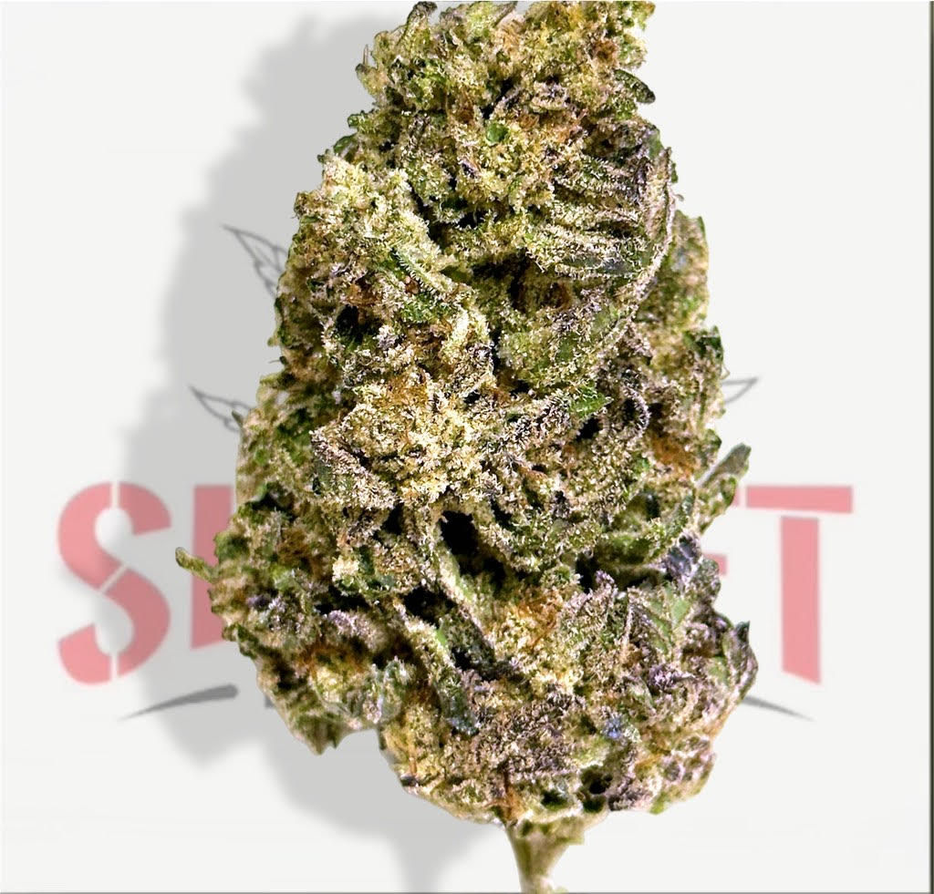 OZ SPECIAL - INDICA - NY CANDY (25.78%)