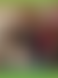 🎄✨ Spreading Christmas Cheer at Lake Taylor School ✨🎄