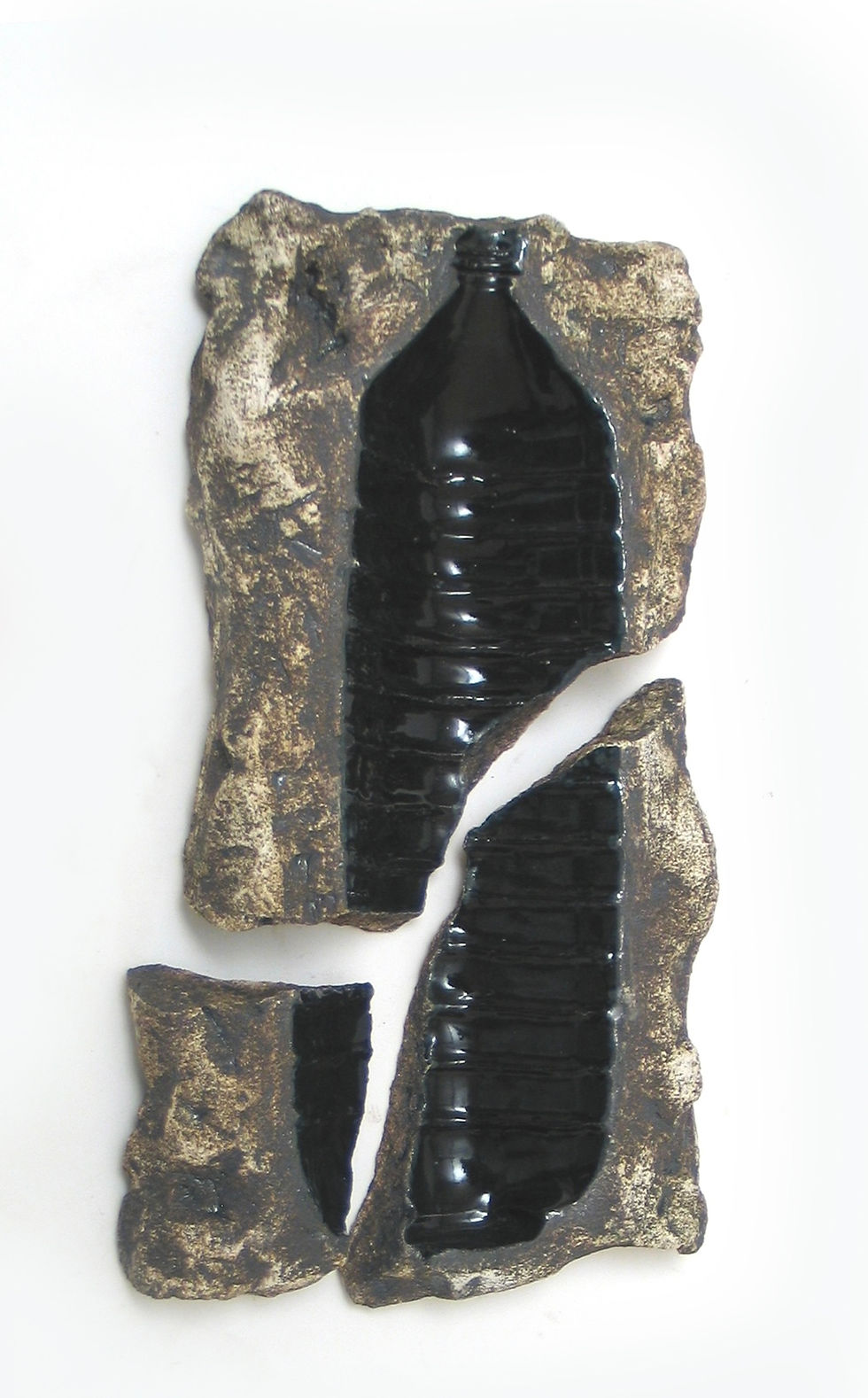 FOSSILE DEL FUTURO 12