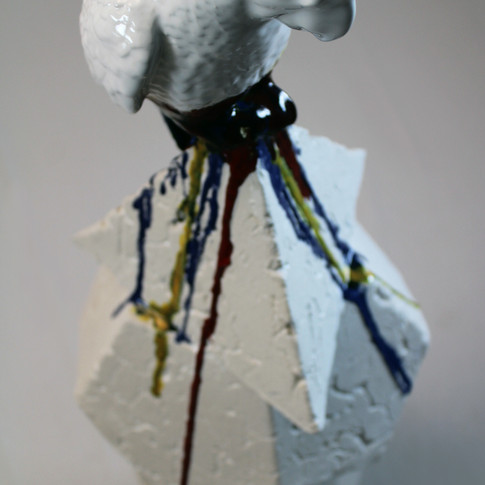 ARAQUA 01