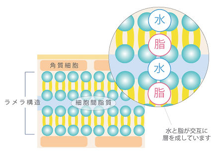 名称未設定-3.jpg
