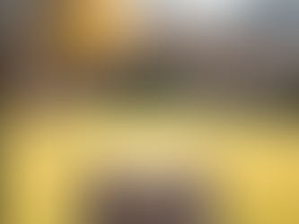 Can I Remove a Tree Stump Myself in Albuquerque?