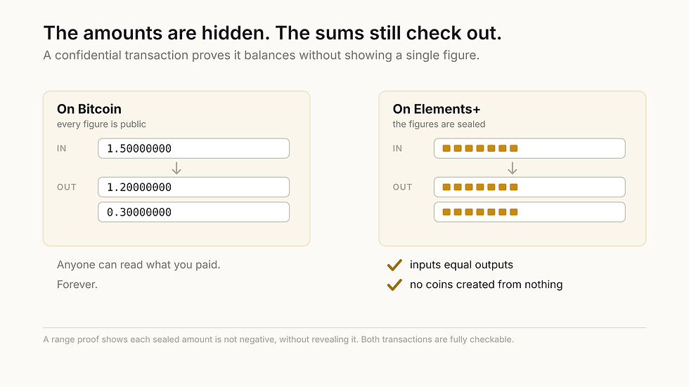 A confidential transaction on Elements+ hides the amounts while still proving inputs equal outputs and no coins were created