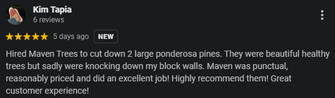 maven five star review 3