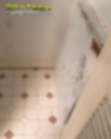 Mold Remediation Birmingham Alabama