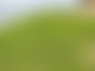 DA plans to set-up solar-powered irrigation system