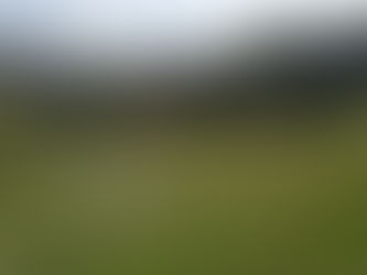 Saving the Forest to sustain Agriculture